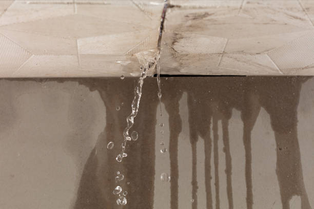 Professional Water Damage Repair technician working in Scott, OH
